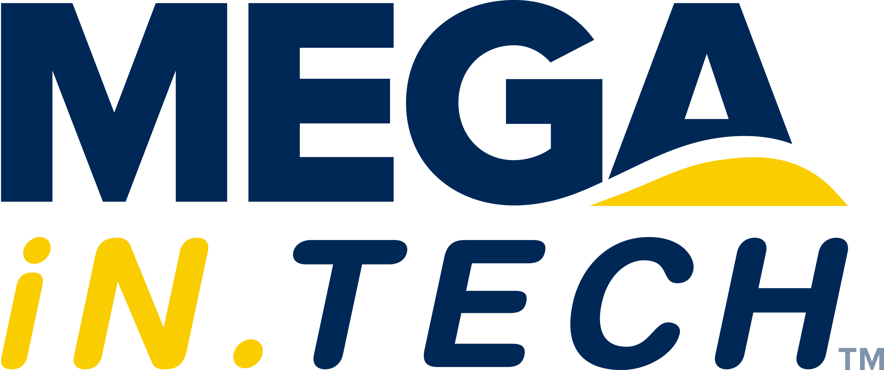 Mega InTech